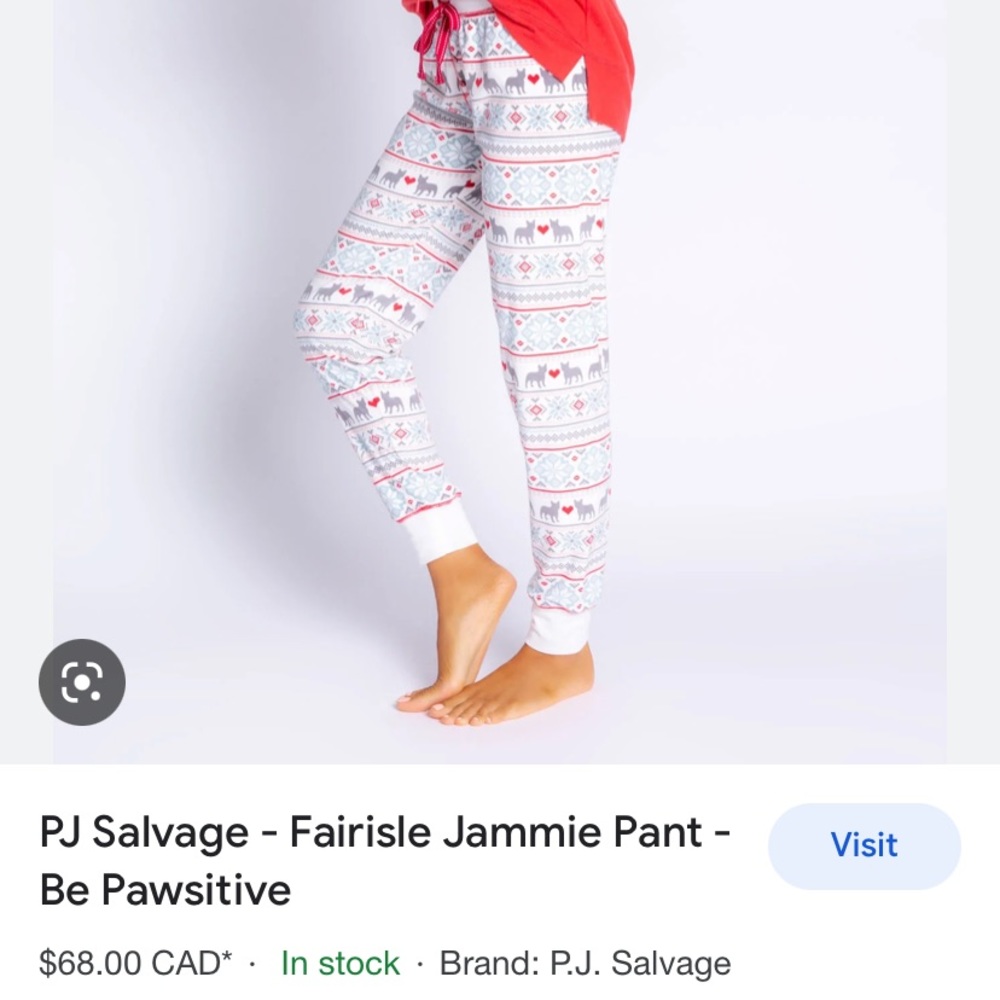 BRAND new PJ salvage pants